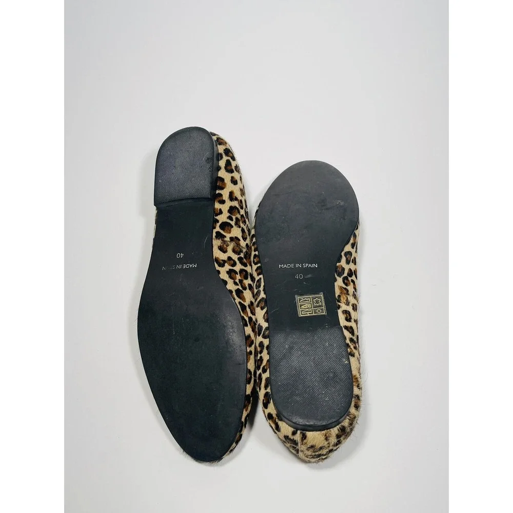 Leopard kg kurt